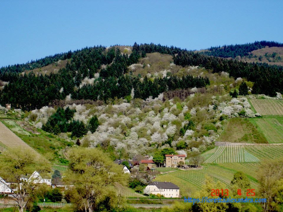 The Rhine Valley is listed as a UNESCO World Heritage Site.