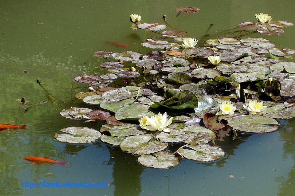 Reflective pool in the courtyard.