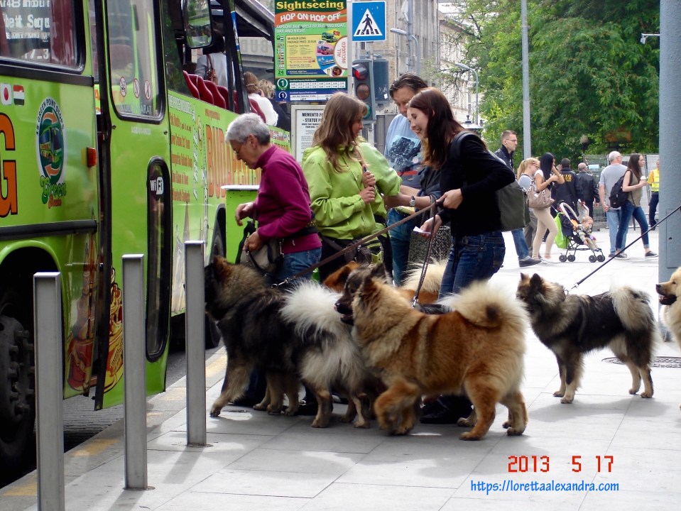 Lining up to board the bus