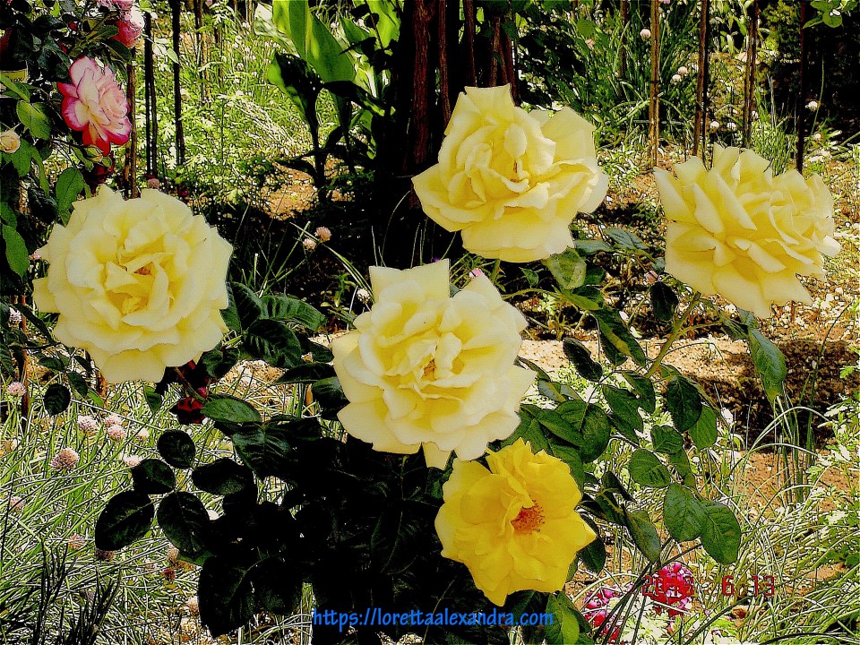 In the gardens of the Alhambra.