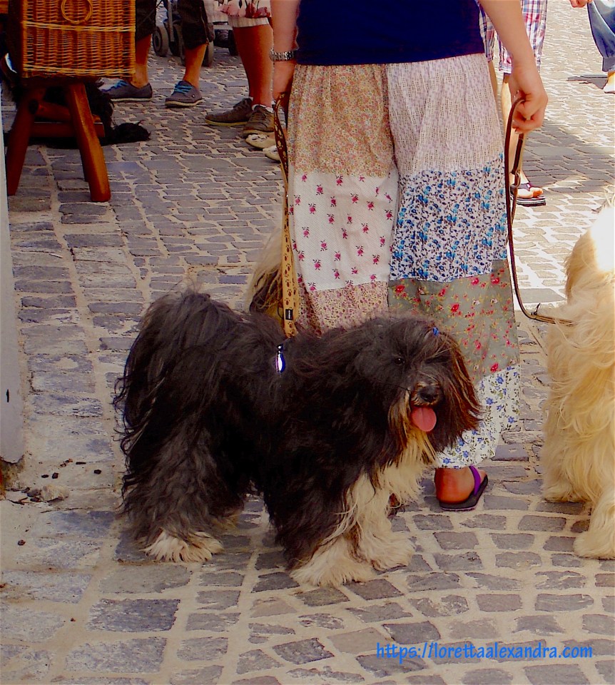 It’s a family outing at Szentendre’s open-air market