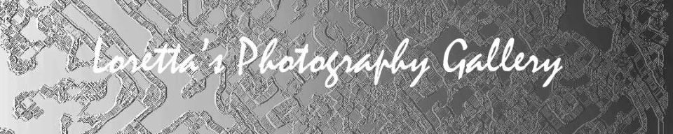 Loretta Alexandra@Gimati DesignWorks I Copyright © 2017