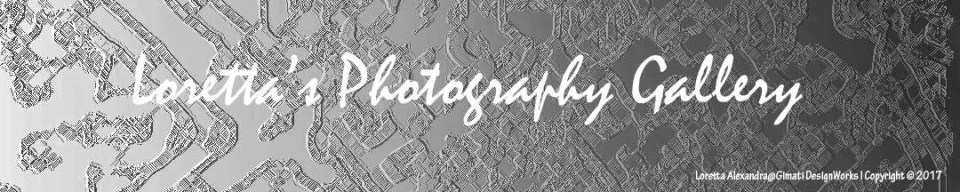 Loretta Alexandra@Gimati DesignWorks I Copyright © 2017©