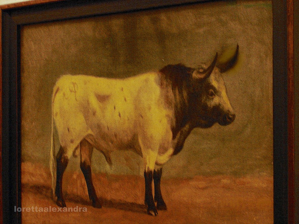 Plaza de Toros museum