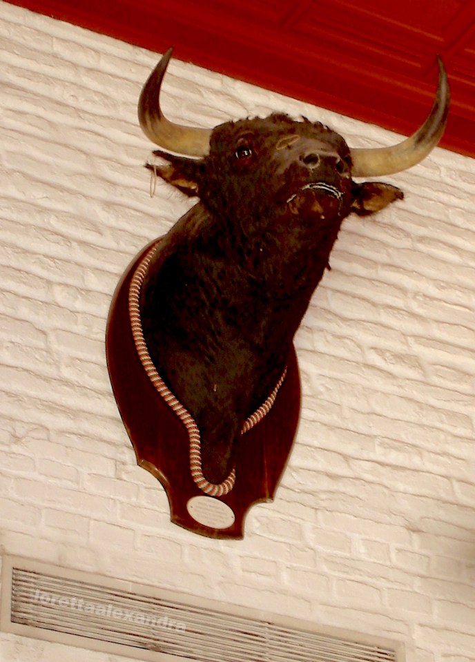 Plaza de Toros museum