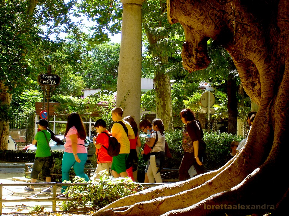 Inner city Parque de Maria Luisa at Glorieta de Goya, in Seville
