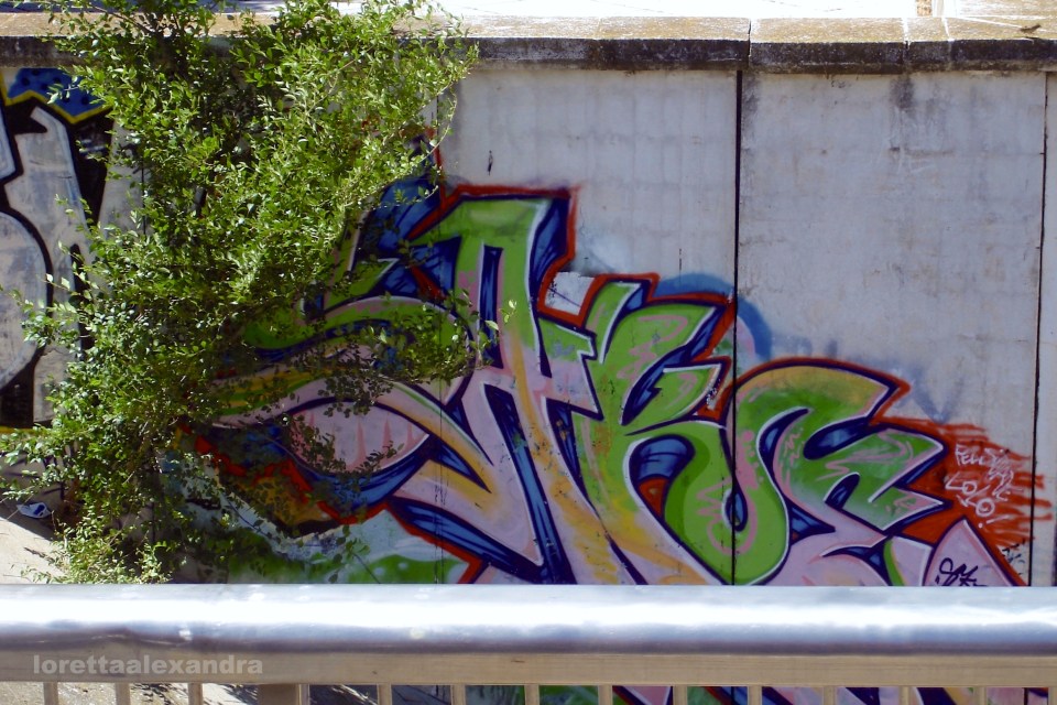 Wall graffti - Seville