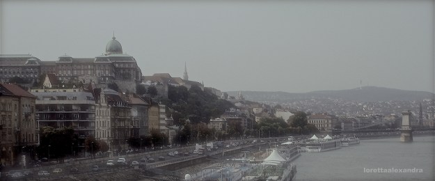 The Danube & Pest