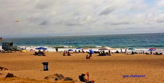 Resized_20190817_160846_8457